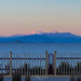 Lake Taupo Water Front