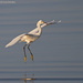 Landing gear down