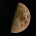 Tonight's Moon!
