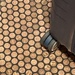 Penny Floor