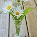 New vase
