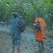 i can't stand the rain 