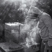 Smoke Screen