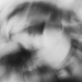 Hosta in abstract-3