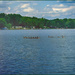"Embracing the calmness of the lake"