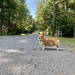 The best boy ever!