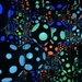 August words and Abstract Circles 