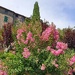 In the garden of Bruno and Marisa
