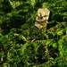 Hidden gatepost 