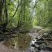 On the Trail