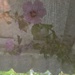 Out My Window