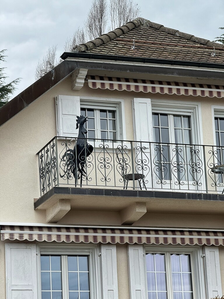 Wrought iron heart and a rooster by cocobella