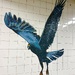 Birds of the Tiles