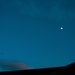 La Luna y el pájaro