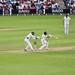 Cricket action 