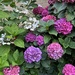 IMG_6364