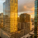 Golden Light