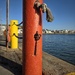 In the Harbour
