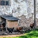 Queue for the Ladies