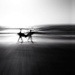 Wave seekers 