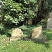 IMG_20250801_160152