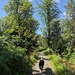 Trail Pup
