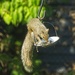 Balancing Act