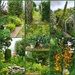 Debs's Garden