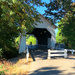 People bridge