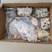 box from 2003