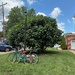 Traveling to Church