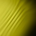 LINES
