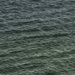 Green Water