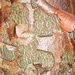 Abstract 3