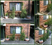 4th Aug 2025 - Flashback 