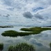 High tide marsh and cloud reflections