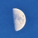 Half moon