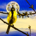 Bird on branch (acrylic painting)