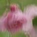 Storm Floris