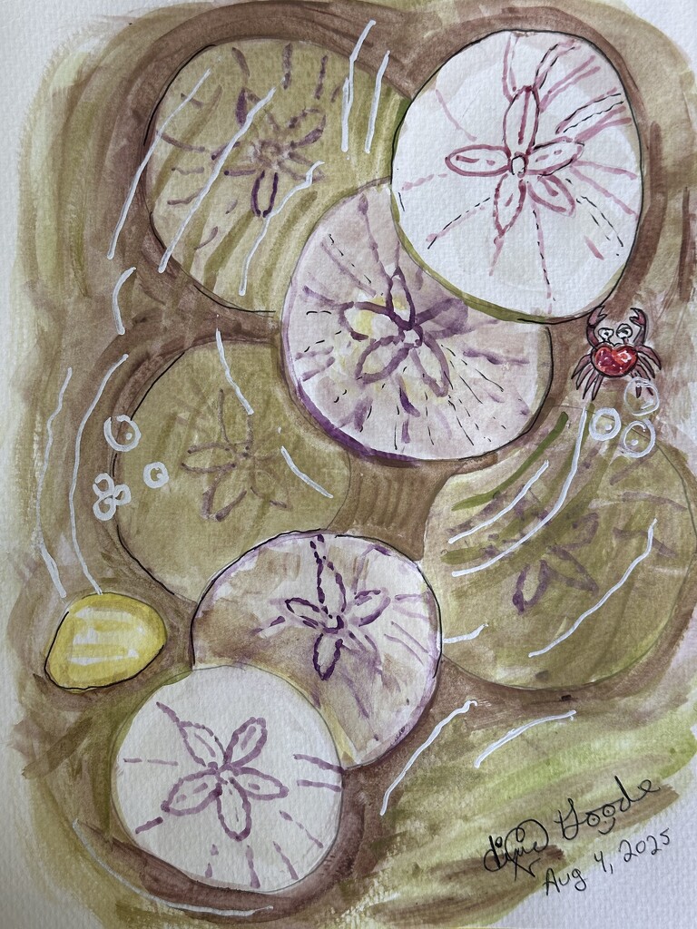 Sand dollars in brown by pandorasecho