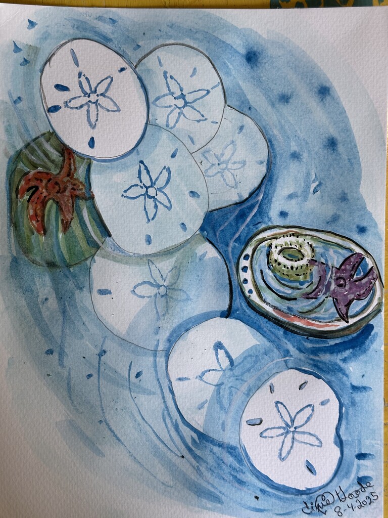 Sand dollars in blue by pandorasecho