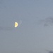 Half moon 
