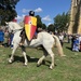 Battle of Evesham