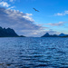 Vesterålen