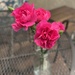 Birthday Flowers