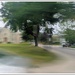 A glimpse of the neighborhood 