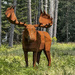 On a country road you never know what you will see.