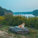 Dusk