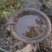Reflection 