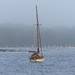 A Misty Morning
